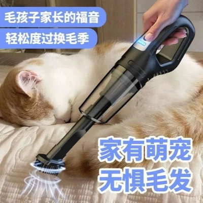 Tozsoranlar – wireless car vacuum cleaner, small