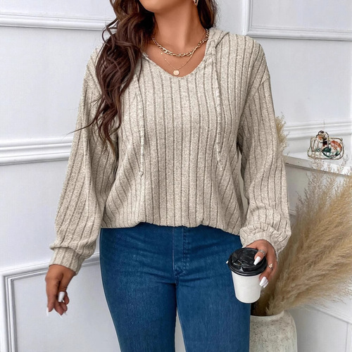 2025 Amazon Autumn/Winter New Solid Color Plus Size Women's Top V-Neck Hooded Long-Sleeve Plaid Fleece T-Shirt Loose Fit