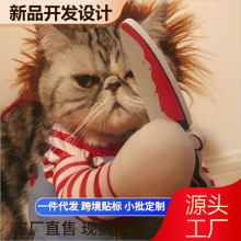 宠物狗创意搞怪泰迪狗狗个性搞笑衣服变身装网红比熊抖音小大型