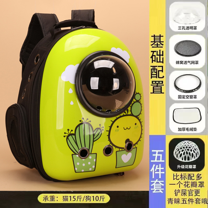 선인장 [검은색 원]