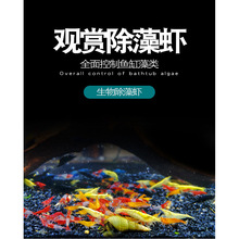 �ښ��r�r���^�p�r�����~��С�r��ˮ�ͻ���ˮ̖�坍�O��ѻ��r