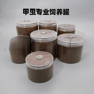 ���x��B�ު����ɳ��x���x��B�д��x�@���@���x�������x��B��