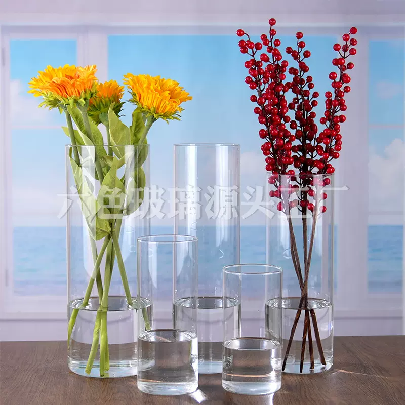 定制直筒玻璃花瓶高颜值水培植物生态瓶圆形鱼缸富贵竹景观玻璃瓶