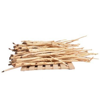 Bei Sha Shen (Glehnia littoralis) — Wild-Dried Sulfur-Free Coastal Glehnia Root, 500g in use