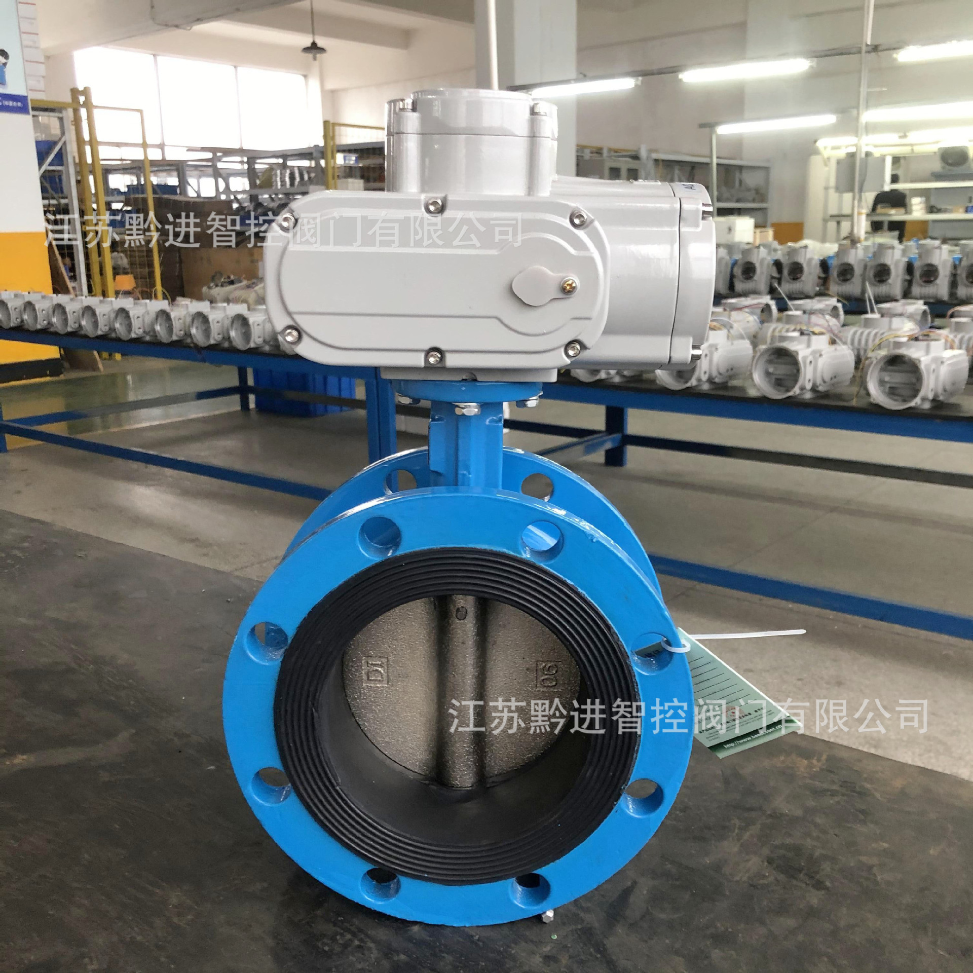 精小型电动法兰蝶阀DEF1X-16 DN200 走水软密封 自来水管道专用10