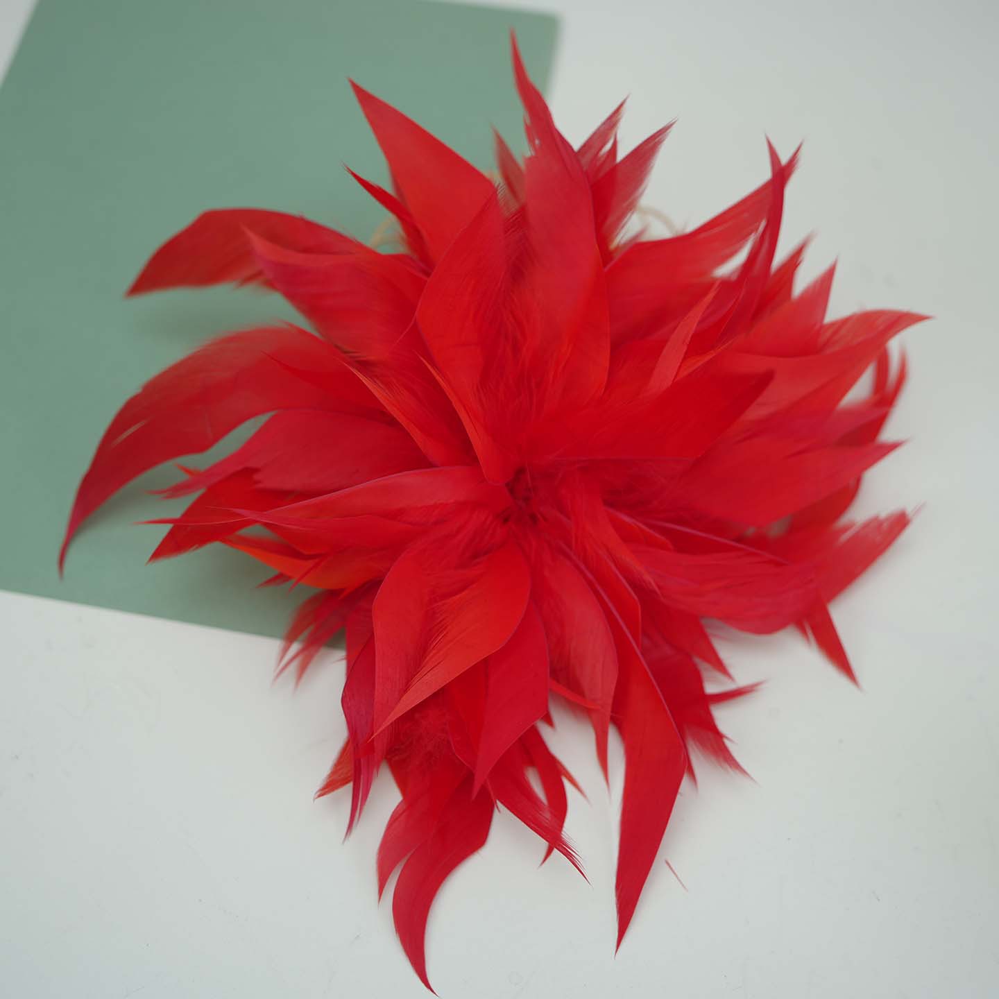 Fábrica directa pequeña serie de plumas rojas DIY accesorios accesorios de artesanía ropa accesorios escenario plumas