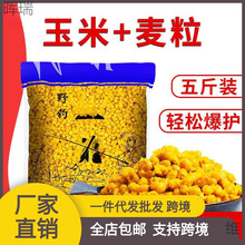 �����C����������������~�D���s�Z�~�DҰ��a�~���~ǧ���������