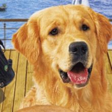 定 制光栅名信片,Three-dimensional postcards,三维立体书签印刷