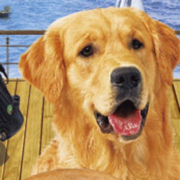 定 制光栅名信片,Three-dimensional postcards,三维立体书签印刷