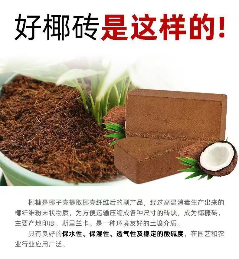 8c4852e8-d599-4837-a4ff-7ee8610d2d35.jpe