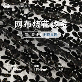 新款网布烧花烫金丝绒面料 时尚轻薄款150g连衣裙网纱丝绒布料