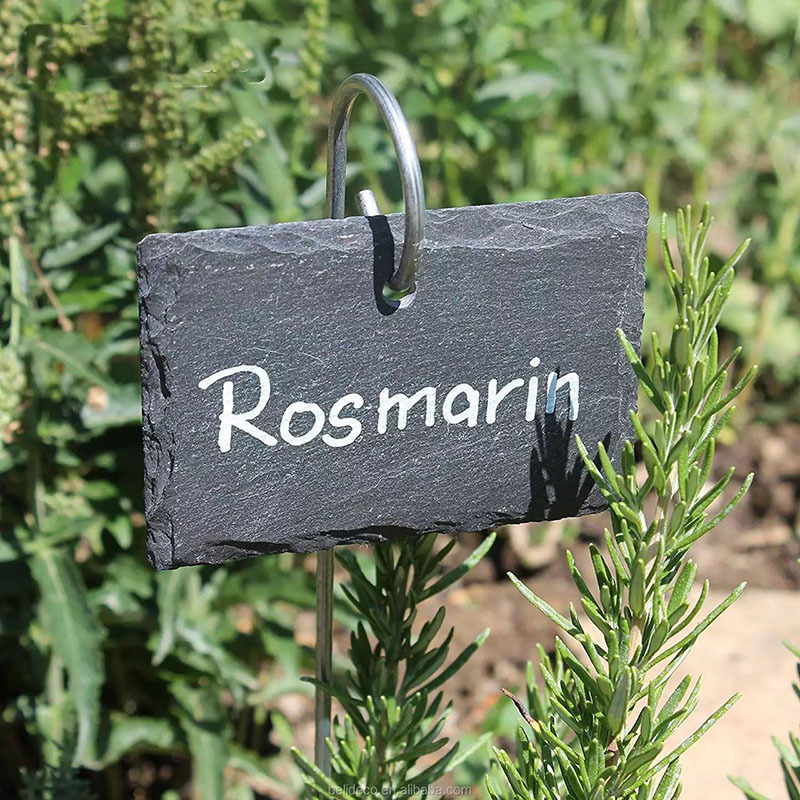 Fabricantes mayoristas etiquetas de plantas de pizarra etiquetas de flores etiquetas de árboles frutales etiquetas de acero inoxidable jardín