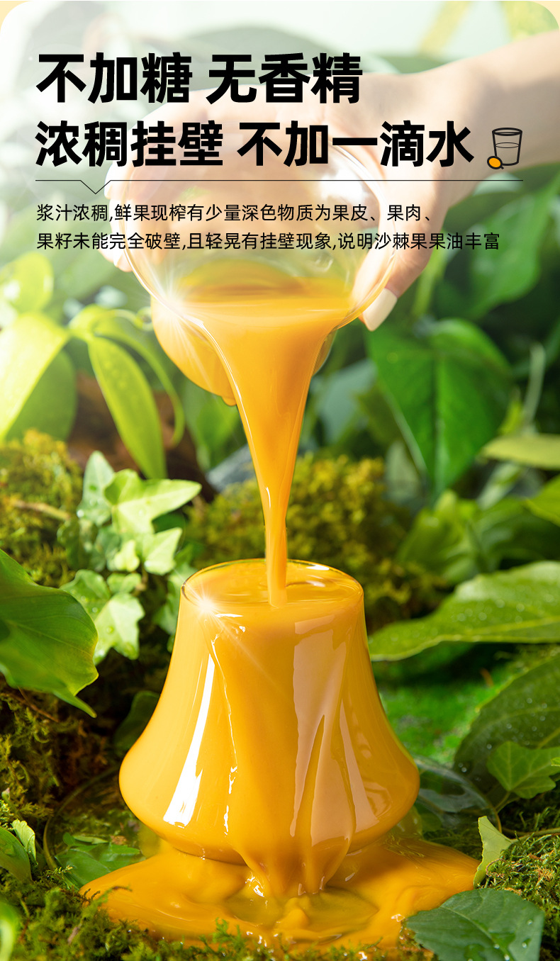 Sea Buckthorn Juice Puree 500ml Gift Box 10 Bottles Ready to Drink Herbal Beverage in use