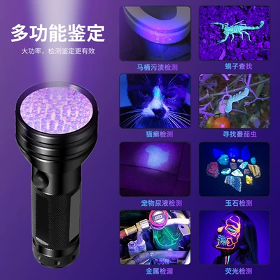 Detector Lamp Scorpion Lamp – UV fənərlər