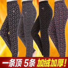 加绒加厚中老年驼绒棉裤女高腰宽松保暖裤老人三层冬奶奶裤