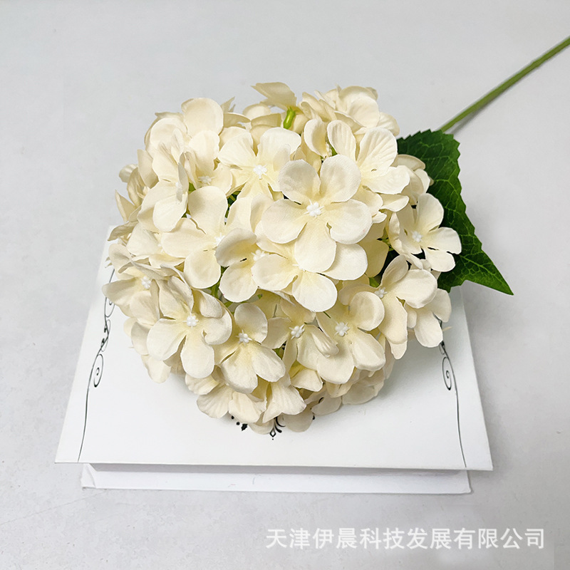 싱글 72피스 수국-샴페인 컬러