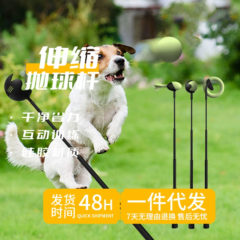 Трансграничные новые моляры устойчивы к укусу собак, бросая клюшки Интерактивные собачьи игрушки для собак