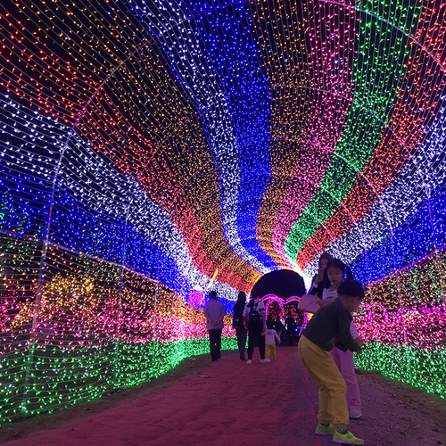 Gypsophila lanterns, outdoor decorative lights engineering quantified LED light string wholesale, New Year and Christmas light string lights wholesale