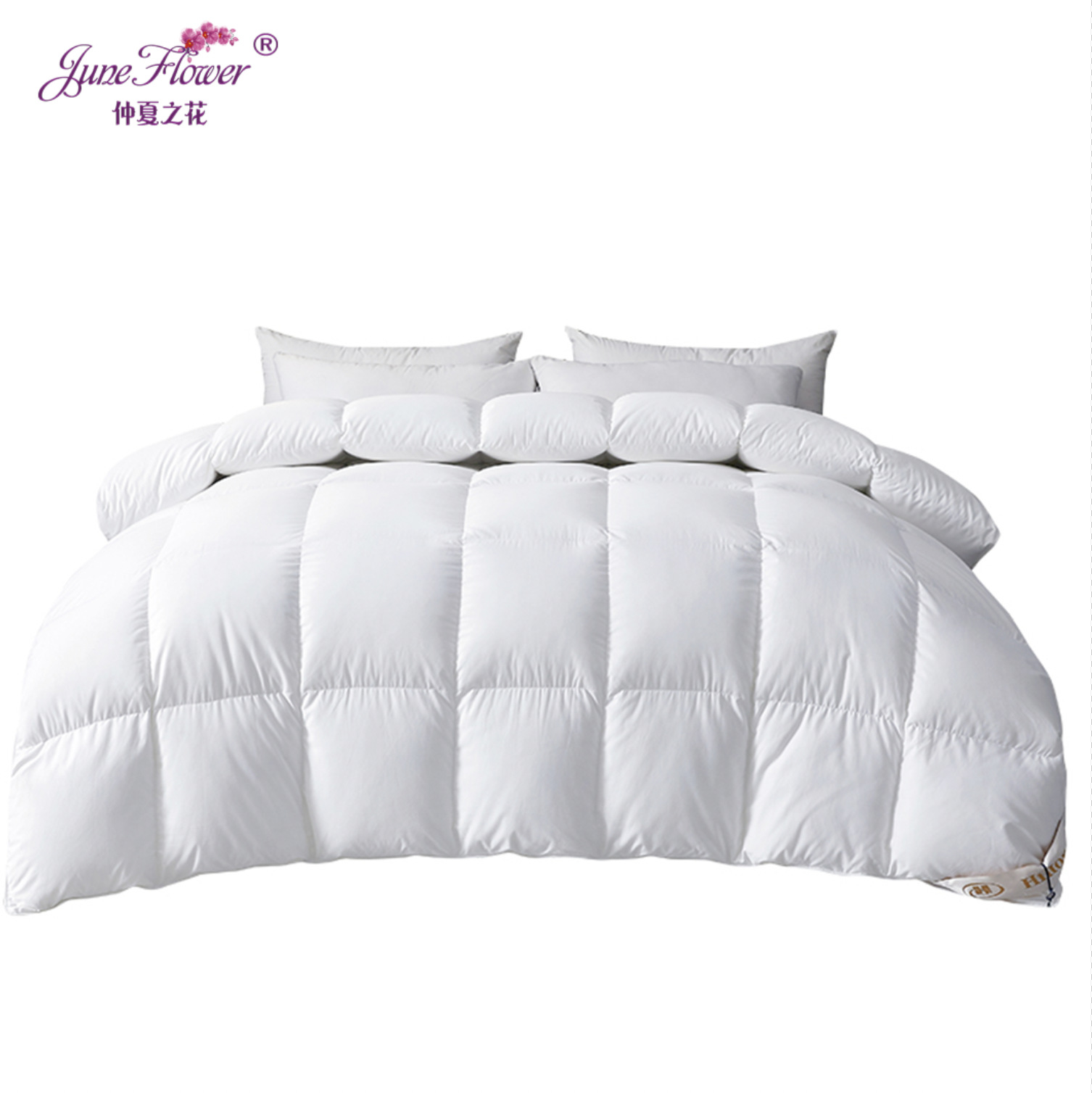 Luxury Hilton Hotel experience the velvet and down quilt