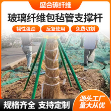 农用大棚支撑杆保温大棚骨架园艺树木防护杆空心玻璃纤维包毡管