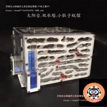 �̨ϵ��Λρ�e���������������Ǳ�������M�b��С�̨�����̨ţ