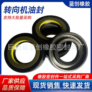 Steering gear oil seal GNB1W11 high temperature resistance and corrosion resistance model 24-41-8.5