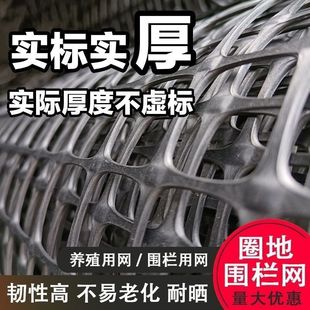 Chicken-Raising Plastic Mesh Fence, Chicken-Blocking Household Corn Breeding Net, Orchard Fish Pond Protective Net, Vegetable Garden Fence