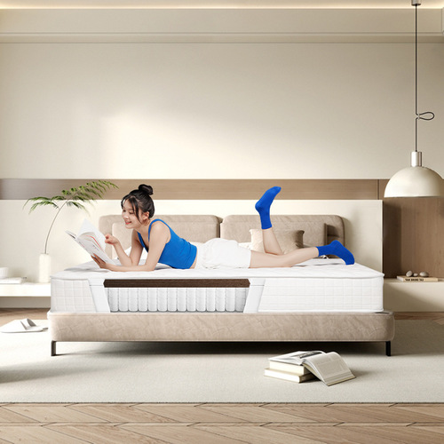 Spring mattress double mattress adult hard independent spring latex 3E coconut palm mattress 1.5m1.8m S1