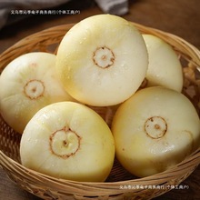 ɽ�|�^��С�۷���������������R�Bׯ�۹���������r����ˮ��