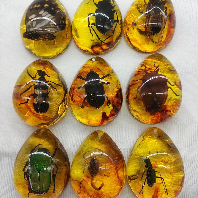 Amber sample, wholesale