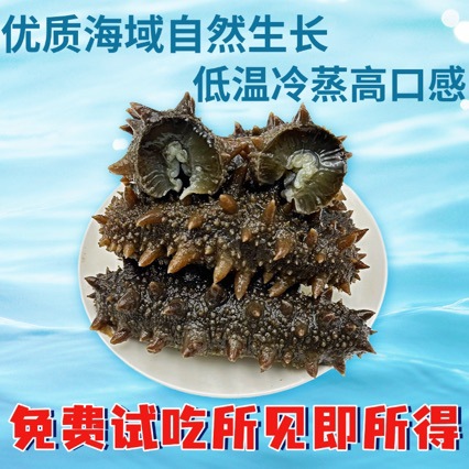 即食海参爆炒口感Q弹饭店酒店餐饮用鲜食福建刺参冰鲜大辽参