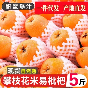 ��֦���������˴�����r����ˮ���������д����������r��һ�����l