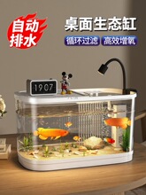 �~��С�Ϳ͏d���B�쾰�^�V����һ�w�C2025�¿�w����������~��