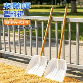 扫把、簸箕;拖把、拖布桶;其他家务清洁