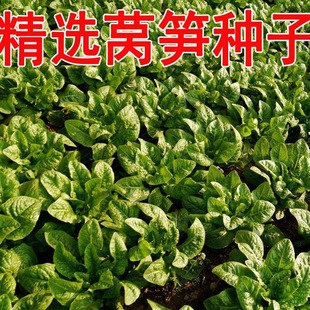 ͥԺ�Nֲș�����߲���S�o���n�ĹS�n�����n�S�N��ǧ����n�Ĳ���