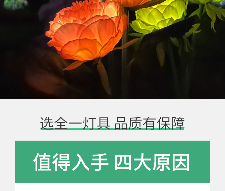 芍药_02.jpg