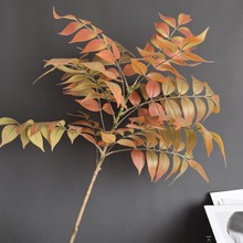 ����3D��ӡ�����~�����~�����~���}�~�Ҿ��bƵ�@���쾰ֲ���~