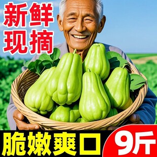 ������r���ֹ�9���߲˸C�������S�ո����ԷN�����ǷN�Ӱ��]���l