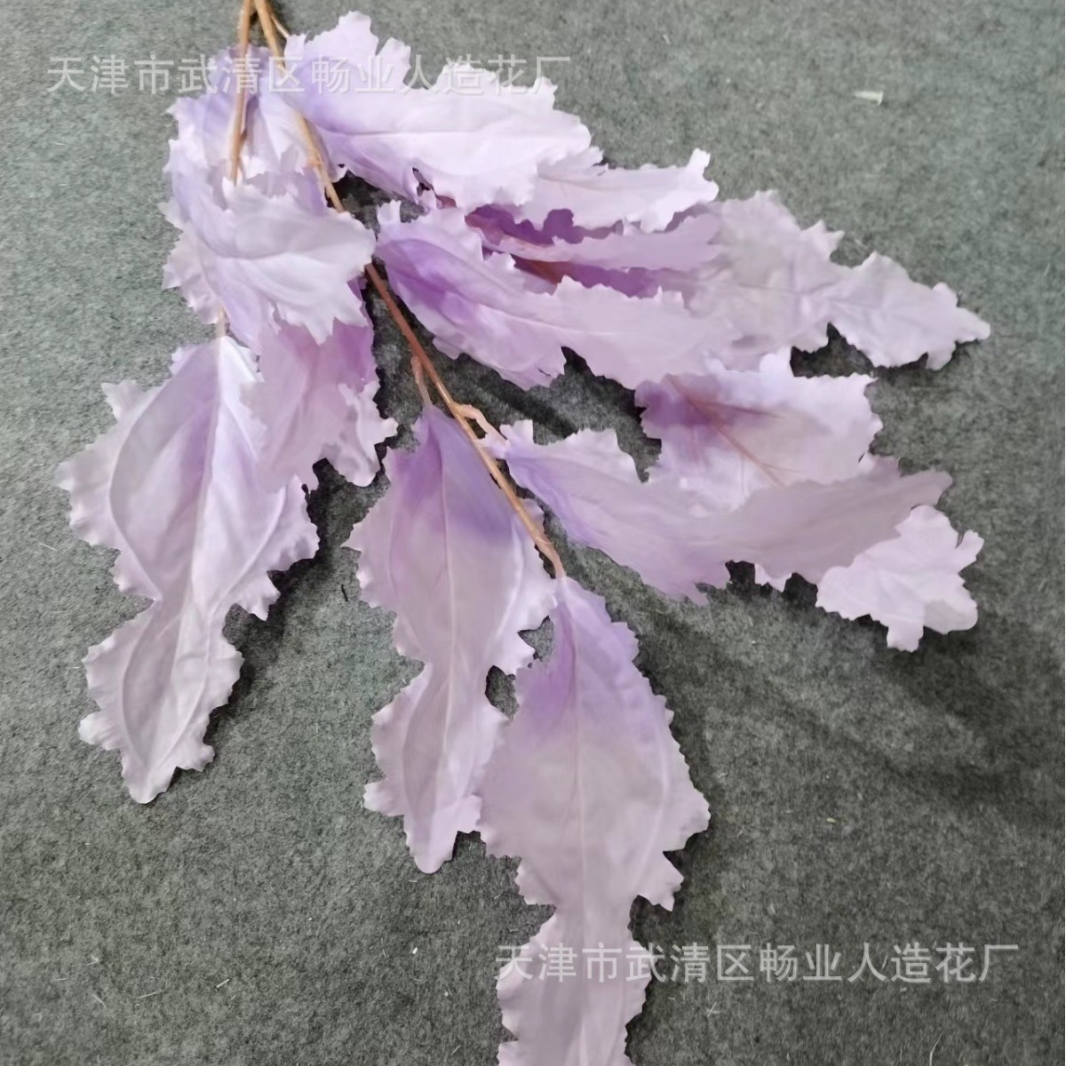 부처잎