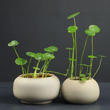 �����մ�ˮ�໨���~�X�݌�����o��͸��ˮ����ɏˮ�B���滨���[��