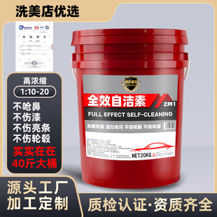 ȫЧ�ԝ���ԭҺĸ��݆ݞ��ϴ�����ϴ܇Һ20lϴ܇����ȥ�����