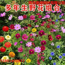 ļN_ҰMϻNͥԺ׻NӴȫܷNݻ