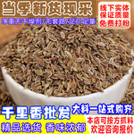 千里香香料卤料大料百里香子卤菜火锅料千里香籽莳萝籽商用批发