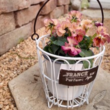 ��ϵins�L�͹������ռ{�@����ɒ��Fˇ�F�z�W�@���@���@�̨�b�