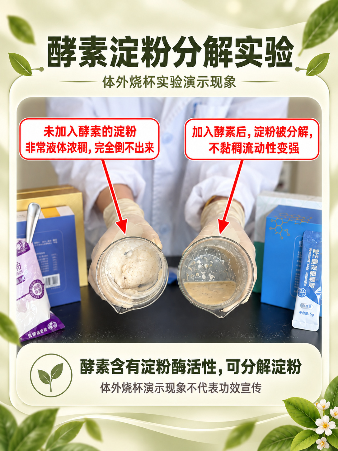 Probiotic Grain & Fruit-Vegetable Enzyme Powder — Fermented Fiber Drink Mix key features