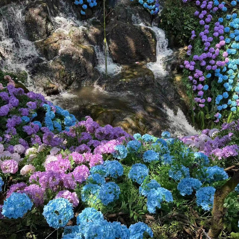 Flower Sea Waterfall Spring Scenery Artificial Jasmine Flower Wall Hydrangea Bouquet Scenic Spot Mood Value Photo-Worthy Place to Check in and Create Memories