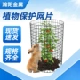 防虫保护园林定制网片