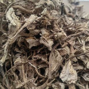 �t������t����� �n��� ȫ�����²���nettle root��؛