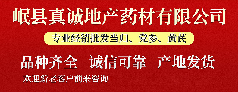 12723588537_1449865884