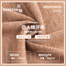 90g仿人棉汗布复合面料 涤氨弹力单面平纹布 T恤打底衫针织布料